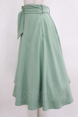 画像2: an another angelus / べっ甲バックルベルトフレアースカート Free MINT H-26-02-14-015-CA-SK-NS-ZH