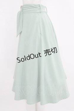 画像2: an another angelus / べっ甲バックルベルトフレアースカート Free MINT H-26-02-14-015-CA-SK-NS-ZH