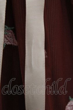 画像5: an another angelus / フラワーロゴ刺繍チュールスカート Free Bordeaux H-26-02-14-021-CA-SK-NS-ZH
