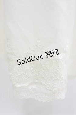 画像3: axes femme / 薔薇レースロングペチスカート M アイボリー H-26-02-16-042-AX-SK-NS-ZH