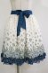 画像1: axes femme / 花柄スカート M オフ/ブルーグリーン H-26-02-16-033-AX-SK-NS-ZH (1)