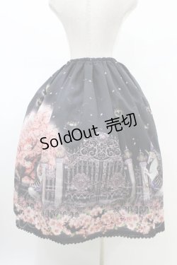 画像2: Enchantlic Enchantilly / 幻影桜城〜夢幻の一角獣〜スカート M ブラック H-26-02-19-1043-LO-SK-NS-ZH