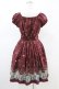 画像2: Secret Honey / サーカスプリントワンピース Free ワイン H-26-02-19-1046-CA-OP-NS-ZH (2)