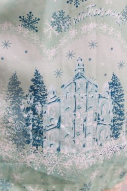 画像4: axes femme POETIQUE / 刺繍入り雪柄ミドルスカート M ミント H-26-02-20-035-AX-SK-NS-ZH