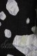 画像3: MILK / ICEプレゼントドレス  ブラック H-26-02-20-1026-ML-OP-AK-ZH (3)