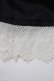 画像5: Angelic Pretty / ドルチェタータンスカートSet Free ブラック H-26-02-21-045-AP-SK-NS-ZH (5)
