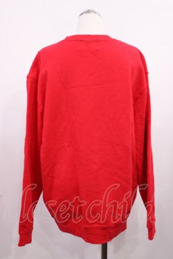 画像2: Nile Perch / オーガンジーモチーフ BIGトレーナー FREE レッド H-26-02-21-1026-LO-TO-YZ-ZH