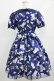 画像3: Angelic Pretty / SPACE TOYSワンピース Free ネイビー H-26-02-23-003-AP-OP-NS-ZH (3)