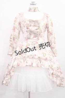 画像1: Victorian maiden / ロココブーケロイヤルオーバードレス Free ロココピーチ H-26-02-25-009-CL-OP-NS-ZH