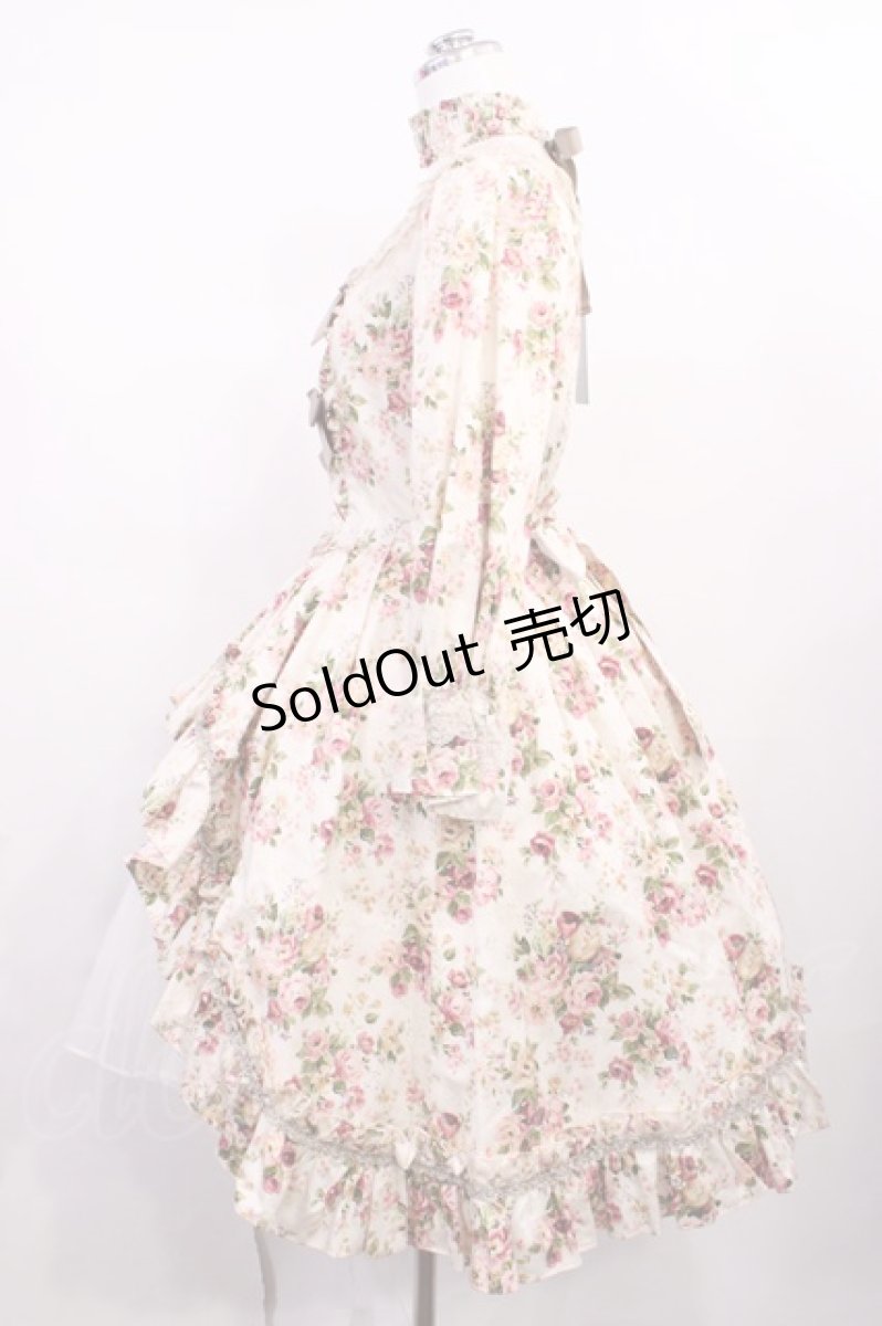 画像2: Victorian maiden / ロココブーケロイヤルオーバードレス Free ロココピーチ H-26-02-25-009-CL-OP-NS-ZH (2)