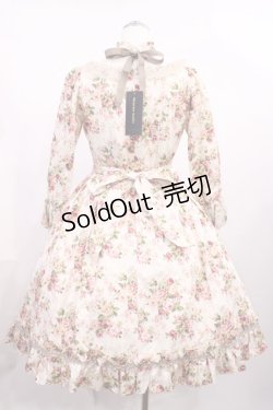 画像3: Victorian maiden / ロココブーケロイヤルオーバードレス Free ロココピーチ H-26-02-25-009-CL-OP-NS-ZH