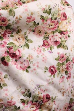 画像5: Victorian maiden / ロココブーケロイヤルオーバードレス Free ロココピーチ H-26-02-25-009-CL-OP-NS-ZH