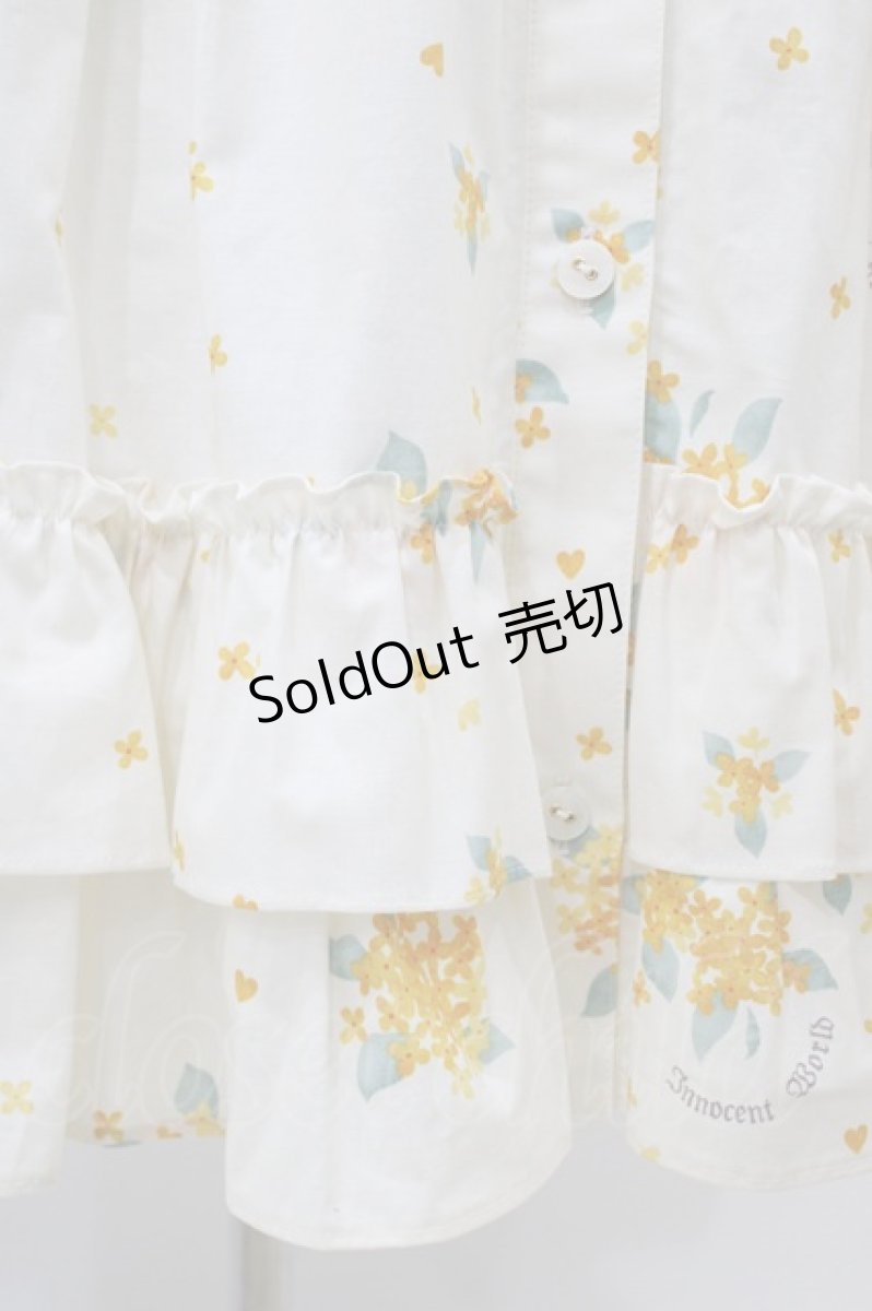 画像5: Innocent World / 金木犀ドレス M 生成×生成/Beige×Beige H-26-03-02-1029-IW-OP-NS-ZH (5)
