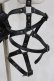 画像2: KILL STAR / Carrion Harness  ブラック H-26-03-03-027-SL-ZA-KB-ZH (2)