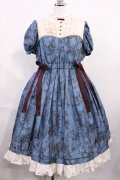 Victorian maiden / ワンダーガーデンサイドリボンワンピース Free ピーコック H-26-03-03-1011-CL-OP-NS-ZH