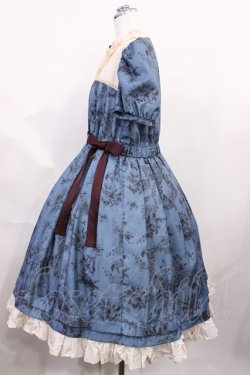 画像2: Victorian maiden / ワンダーガーデンサイドリボンワンピース Free ピーコック H-26-03-03-1011-CL-OP-NS-ZH