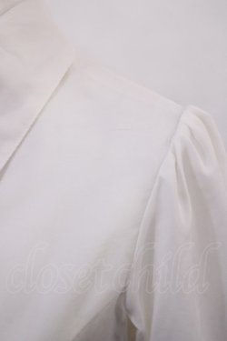 画像4: Victorian maiden / アミーローズブラウスワンピース FREE オフ H-26-03-03-1012-CL-JA-YZ-ZH