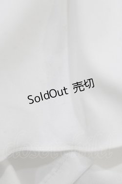 画像5: LAPIN AGILL / ストライプロングコルセットスカート  ボルドー H-26-03-03-004-EL-SK-KB-ZH