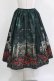 画像1: Enchantlic Enchantilly / 幻影薔薇城〜コウモリ公爵からの招待状〜スカート Free グリーン H-26-03-08-040-LO-SK-NS-ZH (1)
