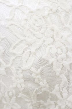 画像3: evelyn / パール襟レーストップス Free オフ H-26-03-11-1051-LO-TO-NS-ZH