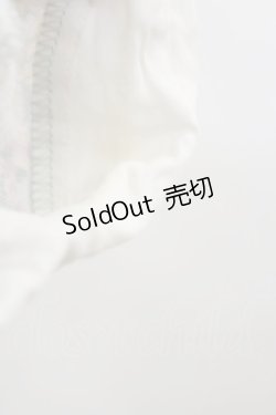 画像3: Fi.n.t / レース付け衿レトロフラワーチェック柄ワンピース Free SAX×WH H-26-03-11-1072-CA-OP-NS-ZH