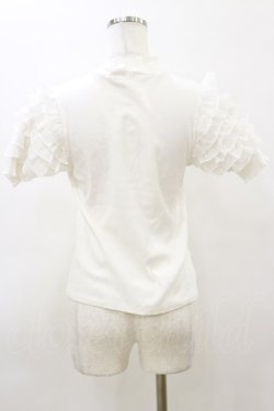 画像2: axes femme POETIQUE / ローズ刺繍フリル袖カットプルオーバー M オフ H-26-03-11-1038-AX-TO-NS-ZH