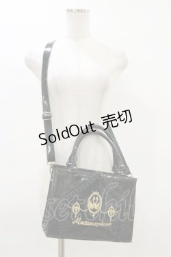 画像1: metamorphose / スワン刺繍バッグ  ブラック H-26-03-12-006-ME-BG-NS-ZH