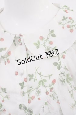 画像3: Ank Rouge / いちご柄シフォンワンピース M オフ H-26-03-12-1011-CA-OP-NS-ZH