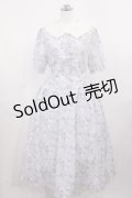 Fi.n.t / ビッグクレリック衿ローズ柄ワンピース Free L/BLUE H-26-03-12-1004-CA-OP-NS-ZH