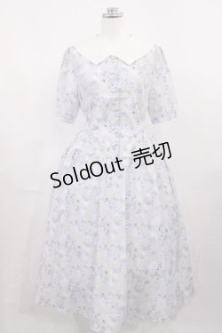画像1: Fi.n.t / ビッグクレリック衿ローズ柄ワンピース Free L/BLUE H-26-03-12-1004-CA-OP-NS-ZH
