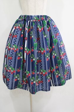 画像1: Physical Drop / LIEFコラボ/アニバーサリーベリースカート Free ネイビー H-26-03-13-1002-LO-SK-NS-ZH