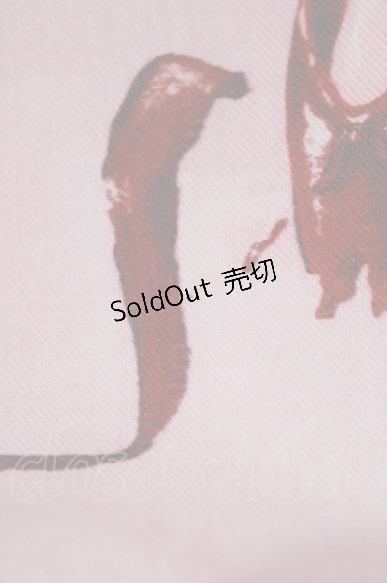 画像5: MILK / レッドシューズスカート  ベビーピンク H-26-03-14-1003-ML-SK-AK-ZH (5)