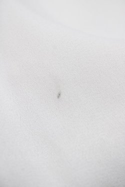 画像4: Innocent World / 金子國義アリス丸衿ブラウス M 生成り H-26-03-14-060-IW-BL-NS-ZH