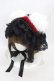 画像1: 危機裸裸商店 / くま耳ヘッドドレス  黒×赤×白 H-26-03-15-002-GO-AC-KB-ZH (1)