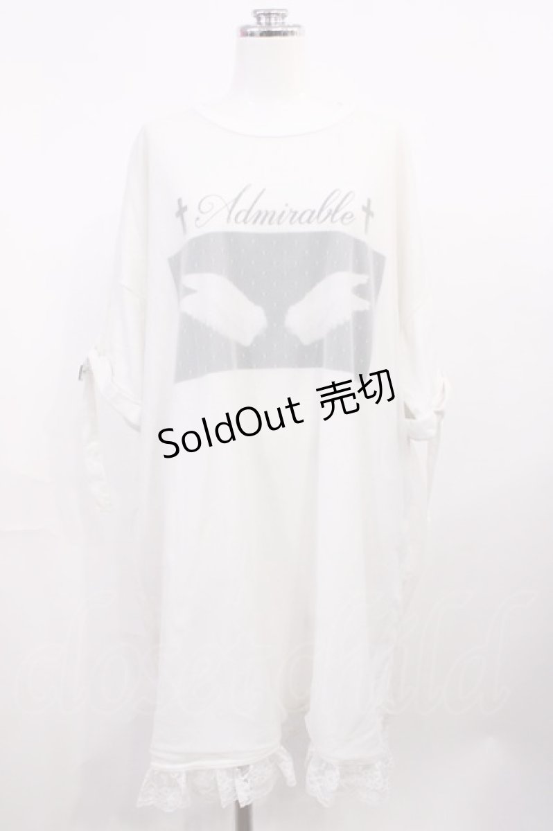 画像1: Ank Rouge / チュールレイヤードBigTe M オフ H-26-03-16-1031-CA-TS-NS-ZH (1)