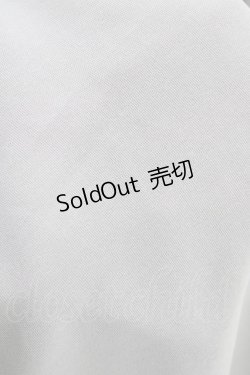 画像4: an another angelus / レース使いビッグカラーロングワンピース Free BLUE GRAY H-26-03-20-1032-CA-OP-NS-ZH