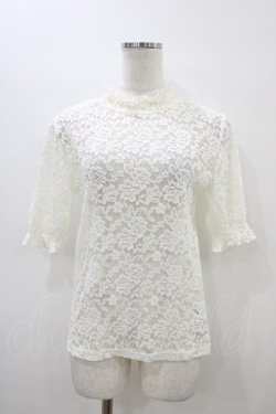 画像1: Fi.n.t / ローズレースハイネックトップス Free オフ H-26-03-20-1056-CA-TO-NS-ZH