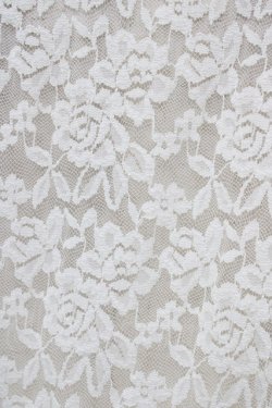 画像3: Fi.n.t / ローズレースハイネックトップス Free オフ H-26-03-20-1056-CA-TO-NS-ZH