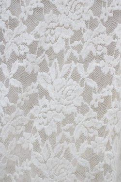 画像3: F&A / 総レースパワショル5分袖トップス Free IVORY H-26-03-20-1057-LO-TO-NS-ZH