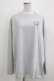 画像1: pium / pium teddy friends オーバーサイズロングTシャツ Free ブルーグレー H-26-03-21-068-0-TS-NS-ZH (1)