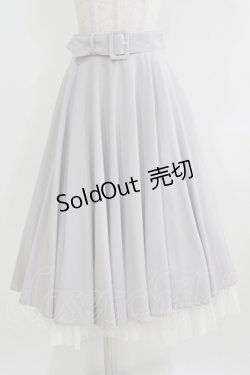 画像1: an another angelus / パニエサーキュラースカート Free L/GRAY H-26-03-23-012-CA-SK-NS-ZH