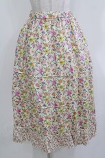 画像1: Jane Marple Dans Le Salon / Gouache Garden Crinoline Skirt  アイボリー H-26-03-24-030-JM-SK-KB-ZH (1)