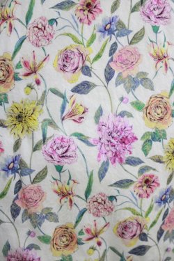 画像4: Jane Marple Dans Le Salon / Gouache Garden Crinoline Skirt  アイボリー H-26-03-24-030-JM-SK-KB-ZH