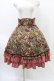画像1: Victorian maiden / フォレストローズスカート Free グレイベージュ×コーラルレッド Gray Beige x Coral Red H-26-03-24-1027-CL-SK-NS-ZH (1)