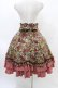 画像2: Victorian maiden / フォレストローズスカート Free グレイベージュ×コーラルレッド Gray Beige x Coral Red H-26-03-24-1027-CL-SK-NS-ZH (2)
