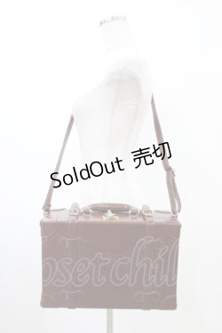 画像1: Fi.n.t / ベルト使いトランクバッグ  BROWN H-26-03-24-1017-CA-BG-NS-ZH