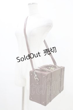 画像2: Fi.n.t / ベルト使いトランクバッグ  BROWN H-26-03-24-1017-CA-BG-NS-ZH