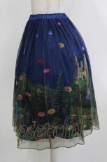 画像2: Jane Marple / Dreamy Dreamミドルチュチュスカート  トワイライト H-26-03-24-013-JM-SK-KB-ZH (2)