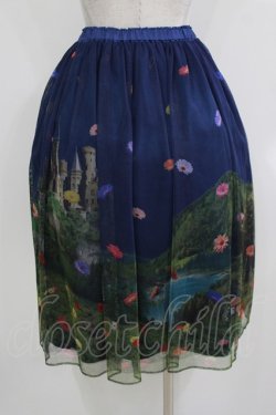 画像3: Jane Marple / Dreamy Dreamミドルチュチュスカート  トワイライト H-26-03-24-013-JM-SK-KB-ZH