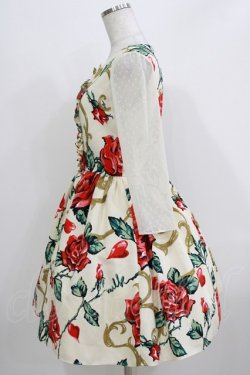 画像2: MILK / ロージーローズドレス  レッドローズ H-26-03-24-002-ML-OP-KB-ZH